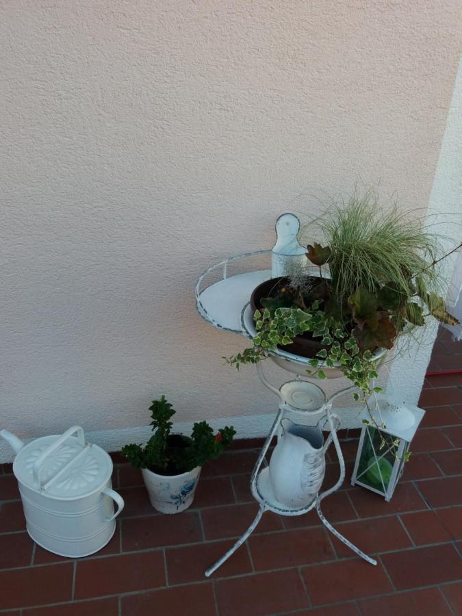 Wohnung Mit Charme In Pinsdorf Kültér fotó
