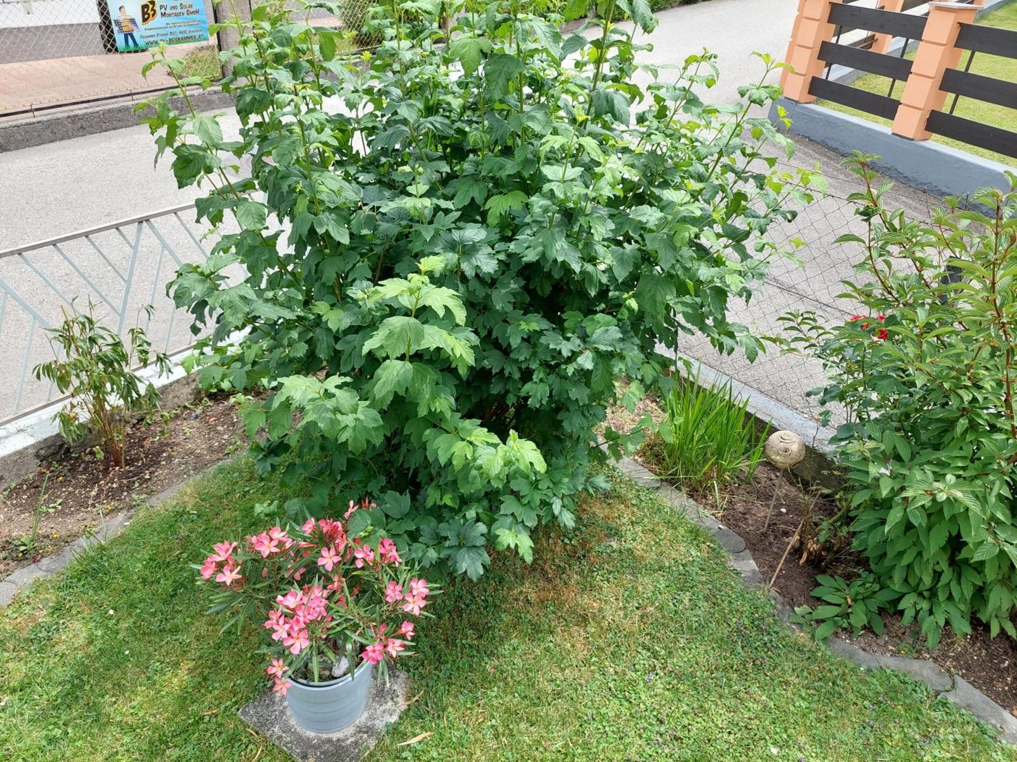 Wohnung Mit Charme In Pinsdorf Kültér fotó