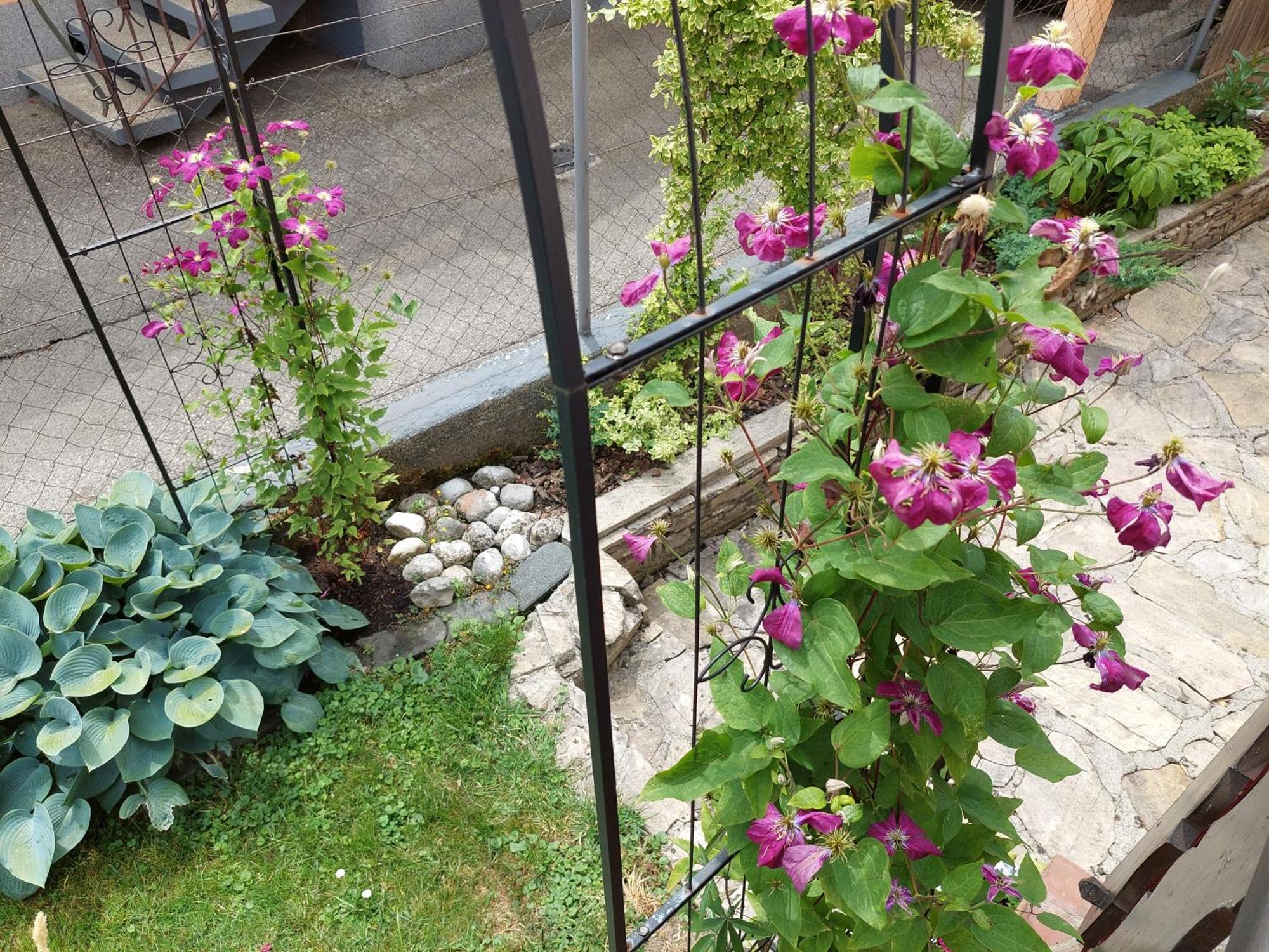 Wohnung Mit Charme In Pinsdorf Kültér fotó